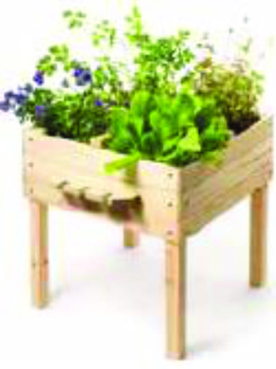 5 carrés potagers